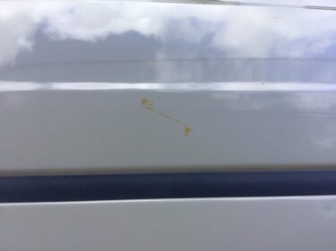 車に付着した樹液