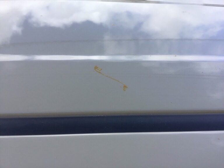 車に付着した樹液